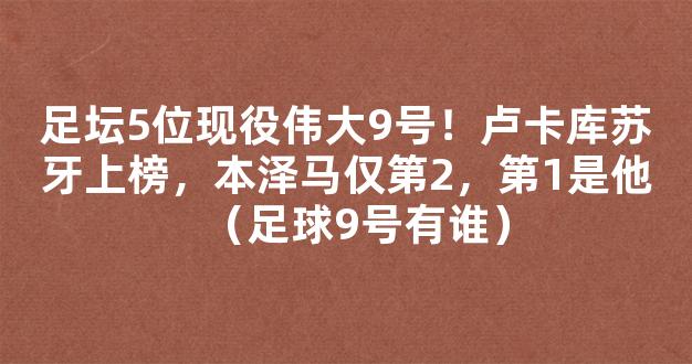 足坛5位现役伟大9号！卢卡库苏牙上榜，本泽马仅第2，第1是他（足球9号有谁）