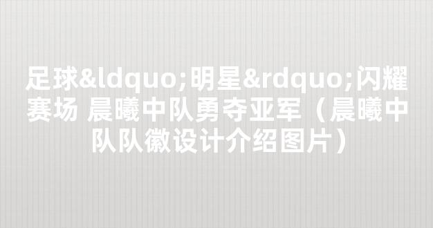 足球“明星”闪耀赛场 晨曦中队勇夺亚军（晨曦中队队徽设计介绍图片）