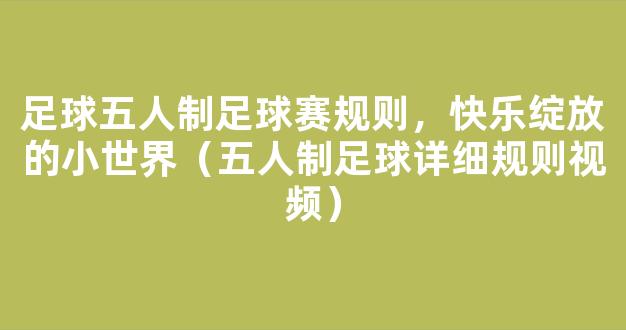 足球五人制足球赛规则，快乐绽放的小世界（五人制足球详细规则视频）