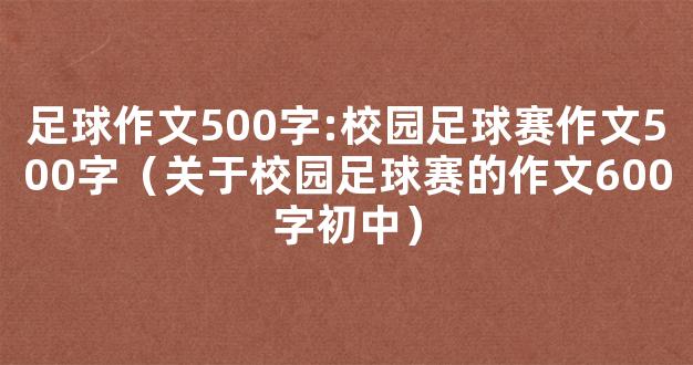 足球作文500字:校园足球赛作文500字（关于校园足球赛的作文600字初中）