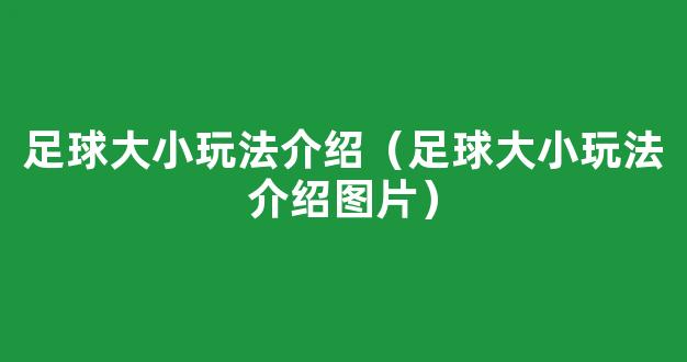 足球大小玩法介绍（足球大小玩法介绍图片）