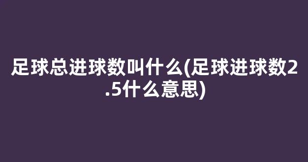 足球总进球数叫什么(足球进球数2.5什么意思)