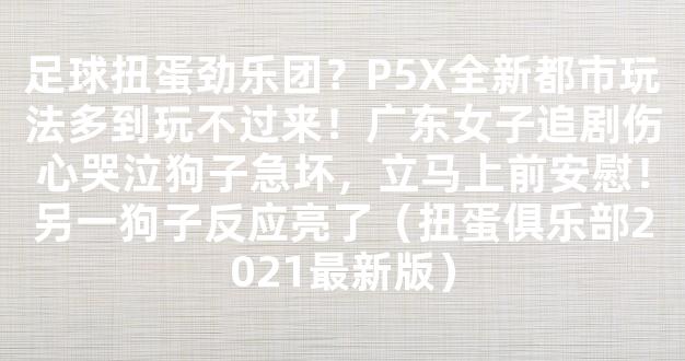 足球扭蛋劲乐团？P5X全新都市玩法多到玩不过来！广东女子追剧伤心哭泣狗子急坏，立马上前安慰！另一狗子反应亮了（扭蛋俱乐部2021最新版）