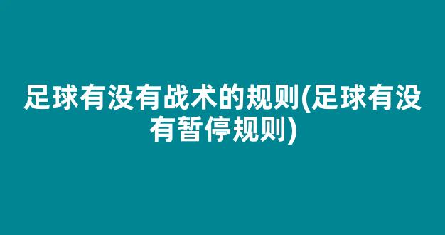 足球有没有战术的规则(足球有没有暂停规则)