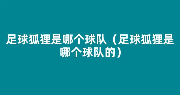 足球狐狸是哪个球队（足球狐狸是哪个球队的）