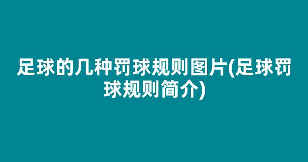 足球的几种罚球规则图片(足球罚球规则简介)