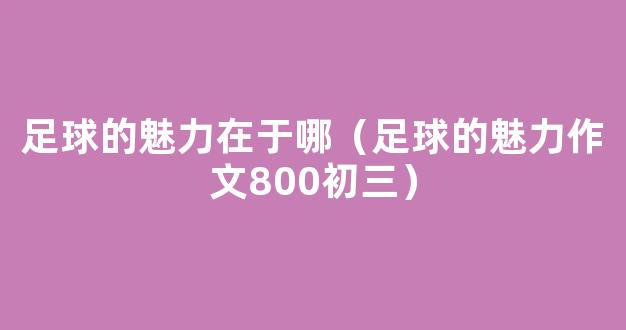 足球的魅力在于哪（足球的魅力作文800初三）