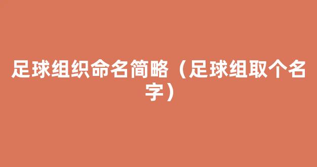 足球组织命名简略（足球组取个名字）