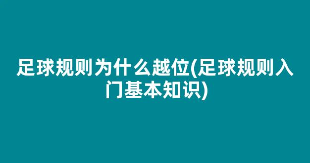 足球规则为什么越位(足球规则入门基本知识)