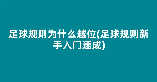 足球规则为什么越位(足球规则新手入门速成)