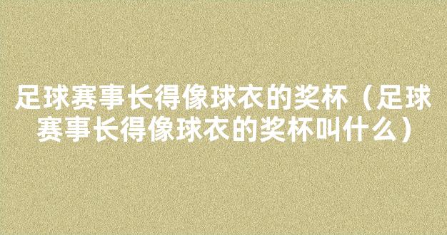 足球赛事长得像球衣的奖杯（足球赛事长得像球衣的奖杯叫什么）