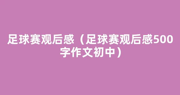 足球赛观后感（足球赛观后感500字作文初中）