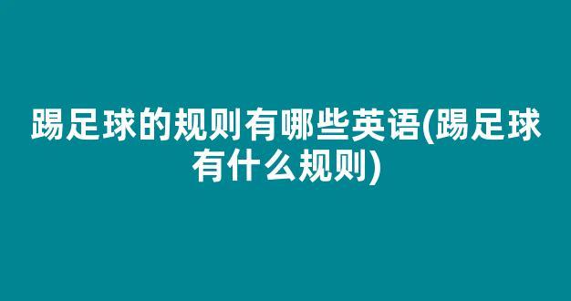 踢足球的规则有哪些英语(踢足球有什么规则)