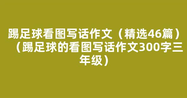 踢足球看图写话作文（精选46篇）（踢足球的看图写话作文300字三年级）