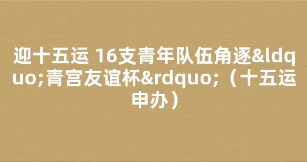 迎十五运 16支青年队伍角逐“青宫友谊杯”（十五运申办）