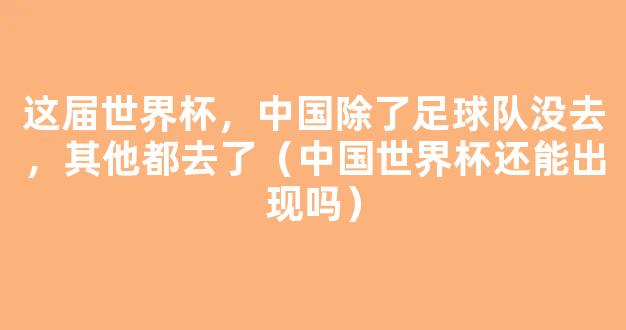 这届世界杯，中国除了足球队没去，其他都去了（中国世界杯还能出现吗）