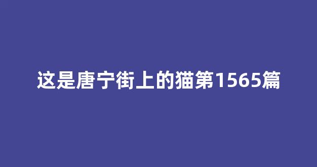 这是唐宁街上的猫第1565篇