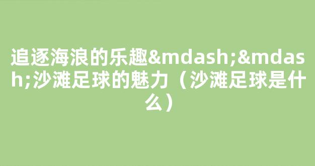 追逐海浪的乐趣——沙滩足球的魅力（沙滩足球是什么）