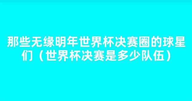 那些无缘明年世界杯决赛圈的球星们（世界杯决赛是多少队伍）