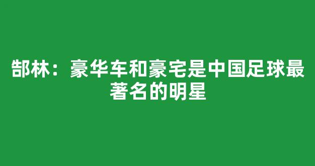 郜林：豪华车和豪宅是中国足球最著名的明星