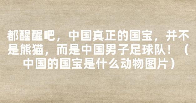 都醒醒吧，中国真正的国宝，并不是熊猫，而是中国男子足球队！（中国的国宝是什么动物图片）