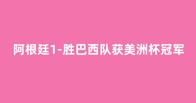 阿根廷1-胜巴西队获美洲杯冠军