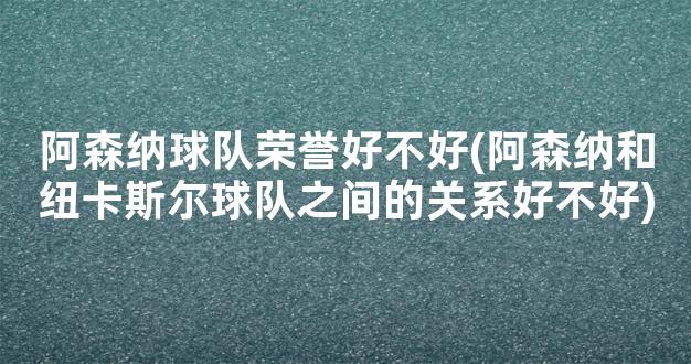 阿森纳球队荣誉好不好(阿森纳和纽卡斯尔球队之间的关系好不好)