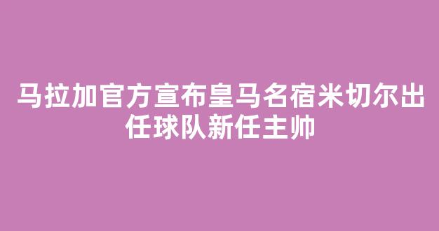 马拉加官方宣布皇马名宿米切尔出任球队新任主帅