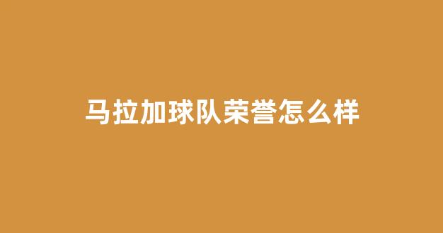 马拉加球队荣誉怎么样