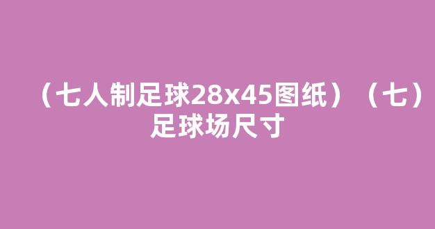 （七人制足球28x45图纸）（七）足球场尺寸