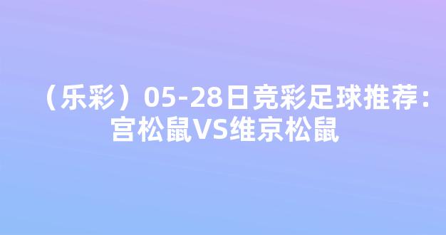 （乐彩）05-28日竞彩足球推荐：宫松鼠VS维京松鼠