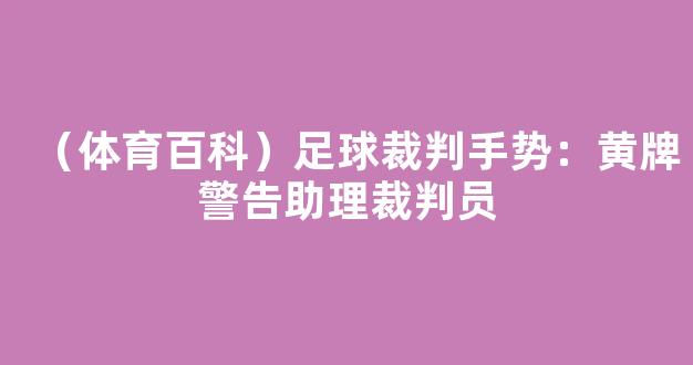 （体育百科）足球裁判手势：黄牌警告助理裁判员