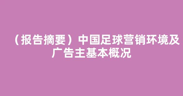 （报告摘要）中国足球营销环境及广告主基本概况