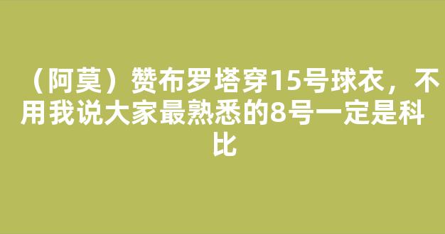 （阿莫）赞布罗塔穿15号球衣，不用我说大家最熟悉的8号一定是科比