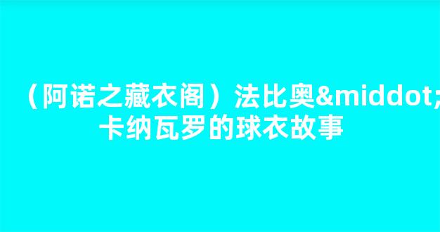 （阿诺之藏衣阁）法比奥·卡纳瓦罗的球衣故事