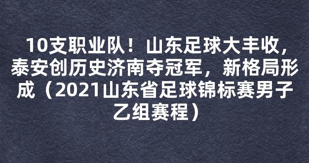 10支职业队！山东足球大丰收，泰安创历史济南夺冠军，新格局形成（2021山东省足球锦标赛男子乙组赛程）