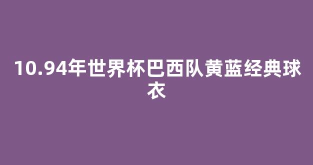 10.94年世界杯巴西队黄蓝经典球衣