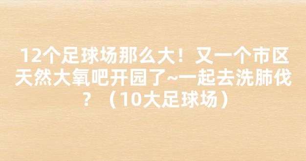 12个足球场那么大！又一个市区天然大氧吧开园了~一起去洗肺伐？（10大足球场）