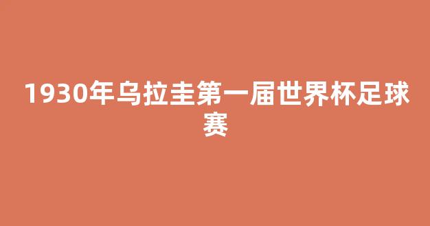 1930年乌拉圭第一届世界杯足球赛