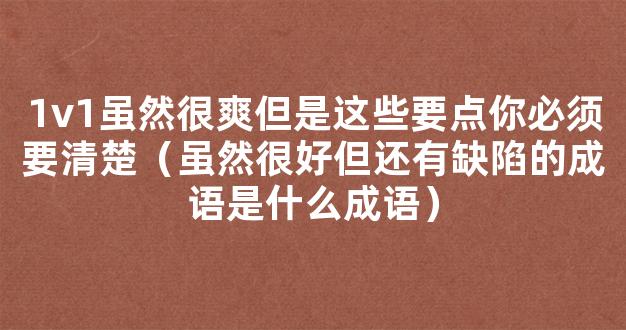 1v1虽然很爽但是这些要点你必须要清楚（虽然很好但还有缺陷的成语是什么成语）