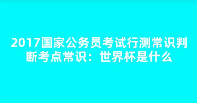 2017国家公务员考试行测常识判断考点常识：世界杯是什么