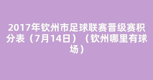 2017年钦州市足球联赛晋级赛积分表（7月14日）（钦州哪里有球场）