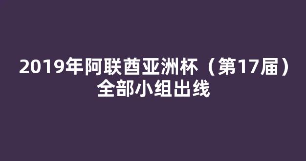 2019年阿联酋亚洲杯（第17届）全部小组出线