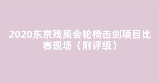 2020东京残奥会轮椅击剑项目比赛现场（附评级）