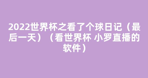 2022世界杯之看了个球日记（最后一天）（看世界杯 小罗直播的软件）