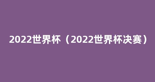 2022世界杯（2022世界杯决赛）