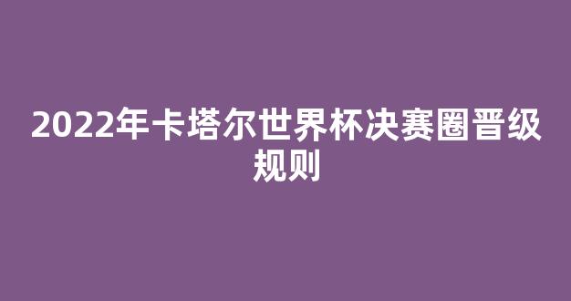 2022年卡塔尔世界杯决赛圈晋级规则