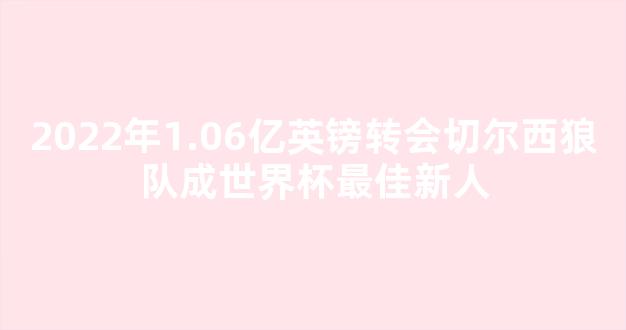 2022年1.06亿英镑转会切尔西狼队成世界杯最佳新人