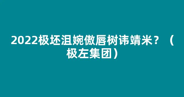 2022极坯沮婉傲唇树讳靖米？（极左集团）