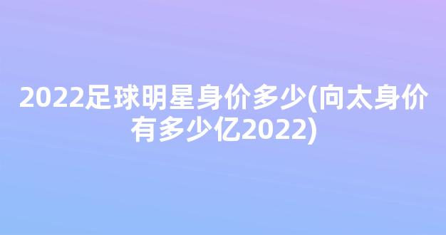 2022足球明星身价多少(向太身价有多少亿2022)